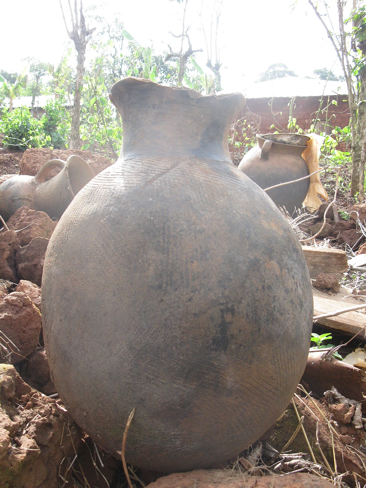 Hand-thrown clay pots drying in a village compound